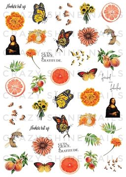 Слайдер-дизайн Crazy Shine Nails mini: Оранжевый