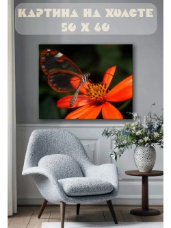 Картина на стену 40 X 50 Бабочка