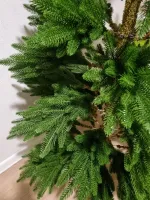 Ель искусственная «Веста» (Литая хвоя) 250 см / 2,5 м