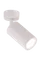 1031W/1 WHITE (1/30) Светильник