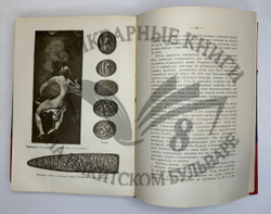 Фукс Э. Иллюстрированная история нравов в 3 т. и Эротическое искусство в 1кн.  1912 г