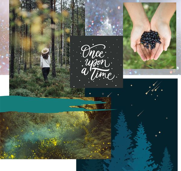 Miss Kay Forest Mist