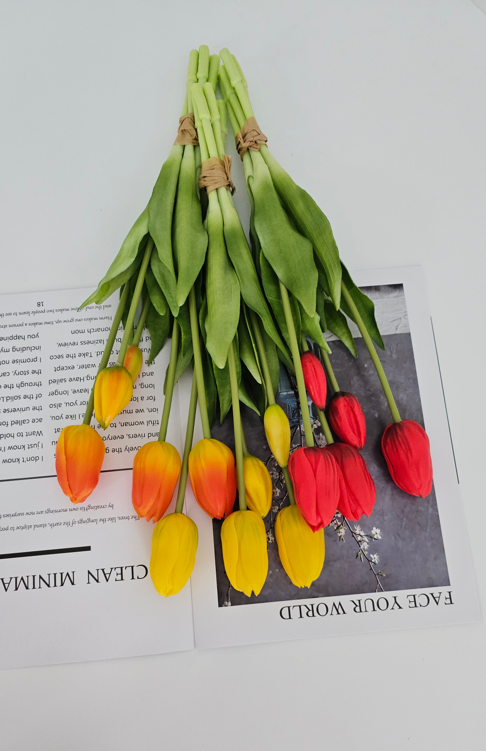 Тюльпаны закрытые / Арт 2452