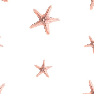 морские звезды на белом