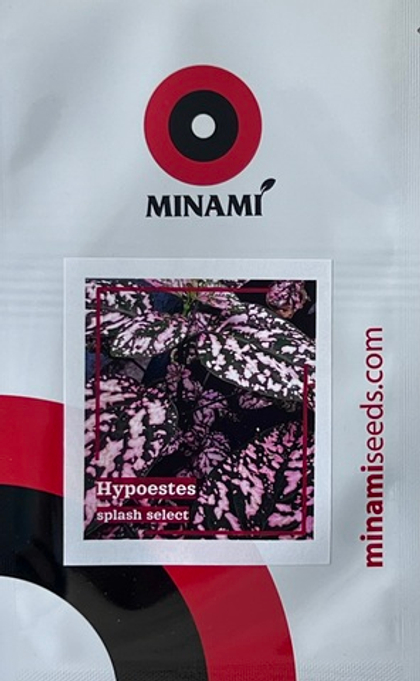 Гипоэстес сплеш Селект розовый 18шт