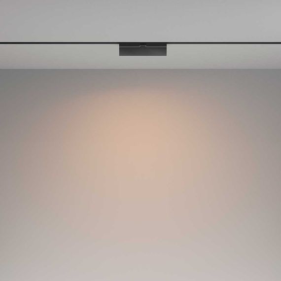 Трековый светодиодный светильник Maytoni Technical Basis TR036-2-12W3K-B