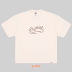  Футболка мужская Dickies Rope артикул:DK0A4Z8QF901 - купить в магазине Дайс