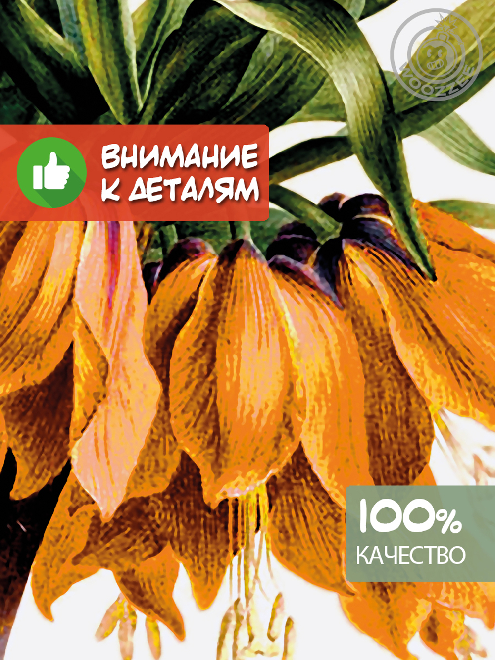 Наклейка декоративная "Рябчик императорский Оранжевый"