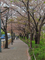 Товар с обоими описаниями