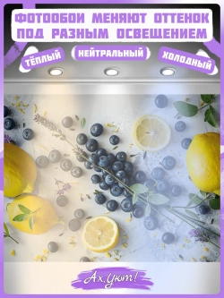 3D Фотообои для кухни фрукты и ягоды