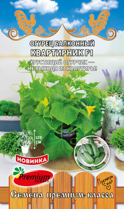 ОГУРЕЦ КВАРТИРНИК F1