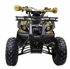 Квадроцикл ATV Termit TT Cross