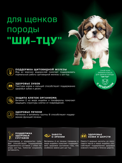 Quattro корм для щенков породы Ши-тцу, с ягненком, 6 кг, QUATTRO