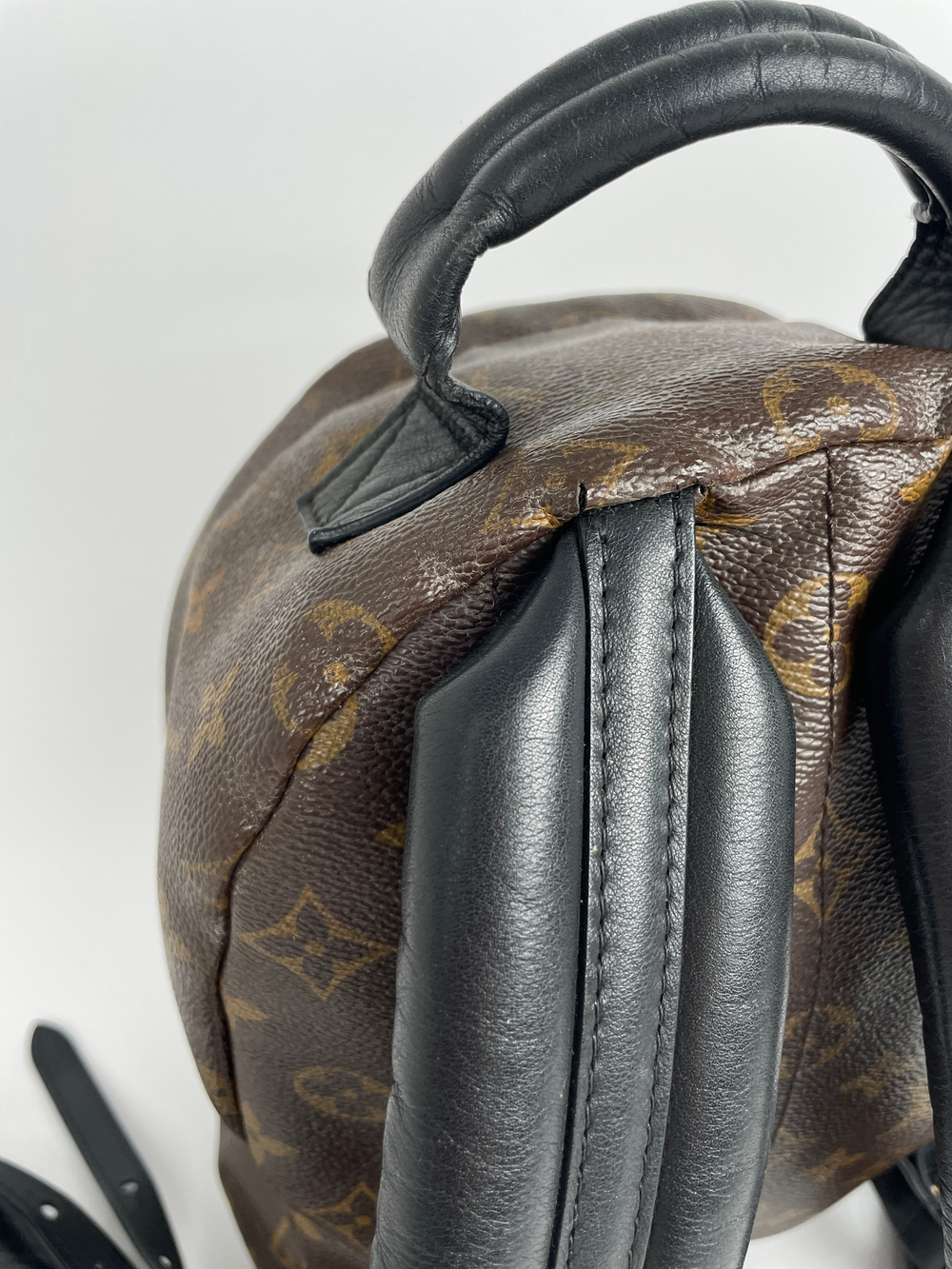 Рюкзак Louis Vuitton Monogram Canvas Palm Springs