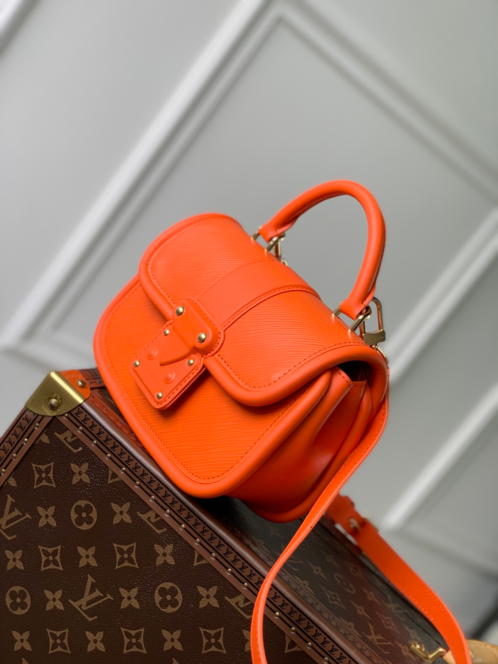 Louis Vuitton Hide & Seek Bag