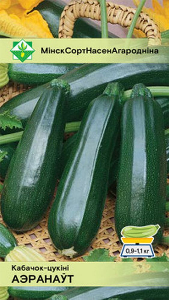 Кабачок "Аэронавт" 2г., Россия. Кабачок "Аэронавт" 2г., Россия.