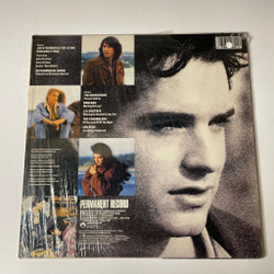 Винтажная виниловая пластинка LP Permanent Record Вечная Песня Music From The Motion Picture Soundtrack (USA 1988)