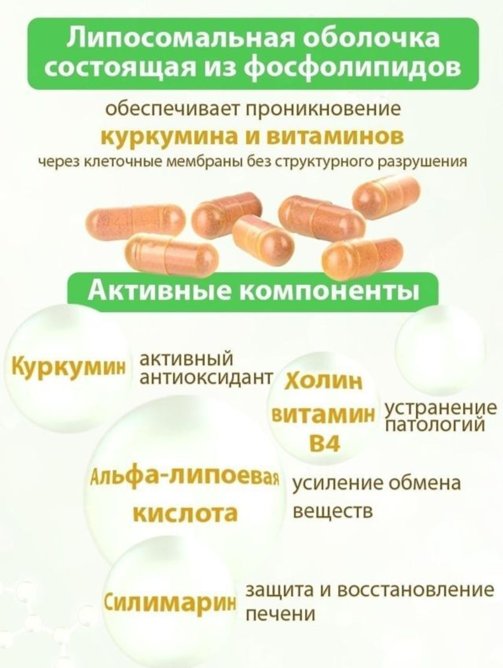Липосомальный куркумин силимарин, веган, 60 капсул
