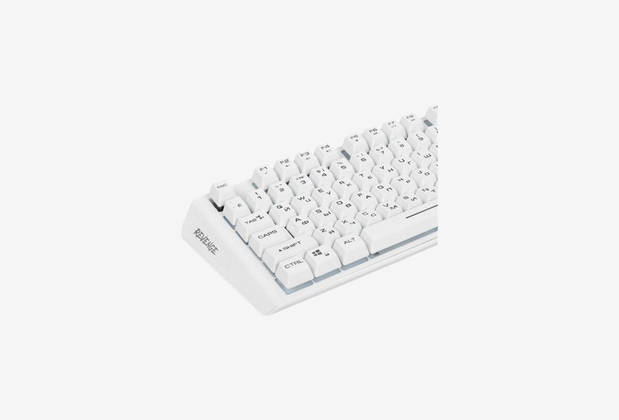 Aceline GS RevengeW_0426709105652