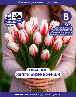 Тюльпан Луковица цветов, Хаппи Дженерейшн, 8 шт