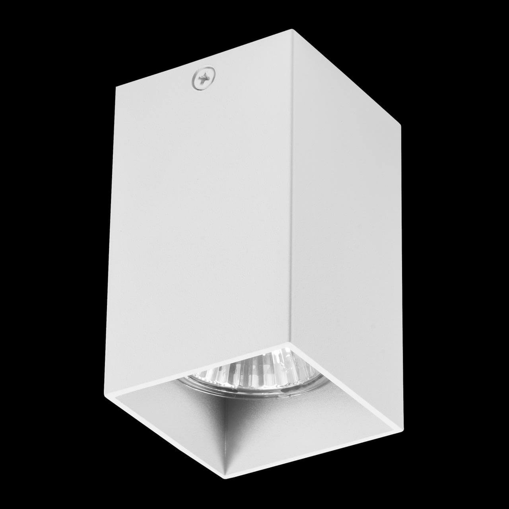 Накладной светильник Lightstar Rullo 216336