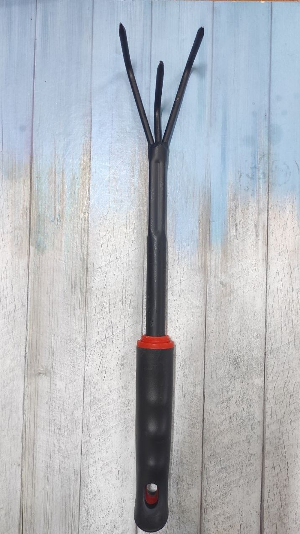 8019