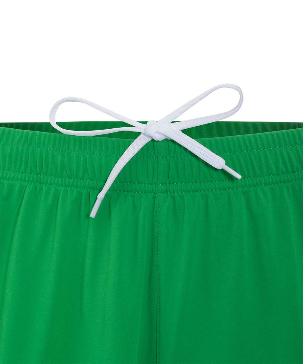 Шорты вратарские JOGEL NATIONAL PerFormDRY GK Shorts, зеленый