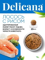 Cухой полнорационный корм для взрослых собак крупных пород лосось с рисом Delicana 15кг