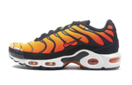 Кроссовки Nike Air Max Plus Og