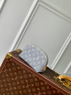 Louis Vuitton Cosmetic Pouch PM