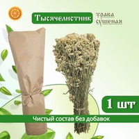 Тысячелистник (пучок)