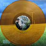Belle And Sebastian / Late Developers (Coloured Vinyl)(LP)