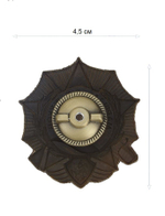 Орден Маршала Жукова