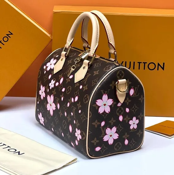 Сумка LOUIS VUITTON х TM Speedy 25, коричневый
