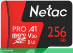 Карта памяти Netac NT02P500PRO-256G-R
