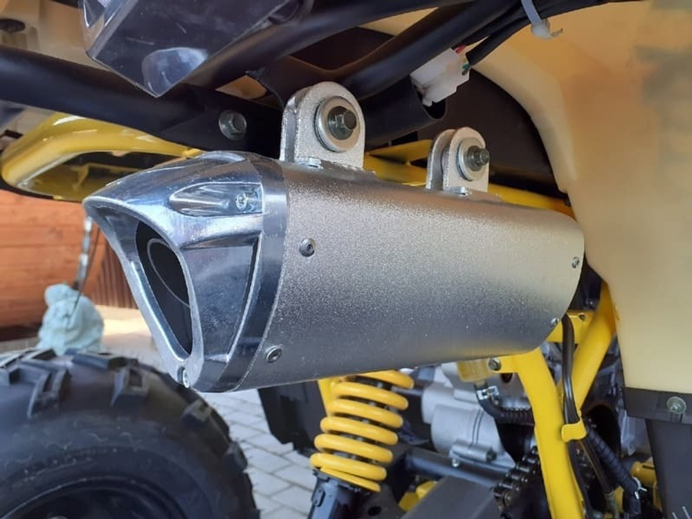 Квадроцикл MOTOLAND ATV 200 Wild Track