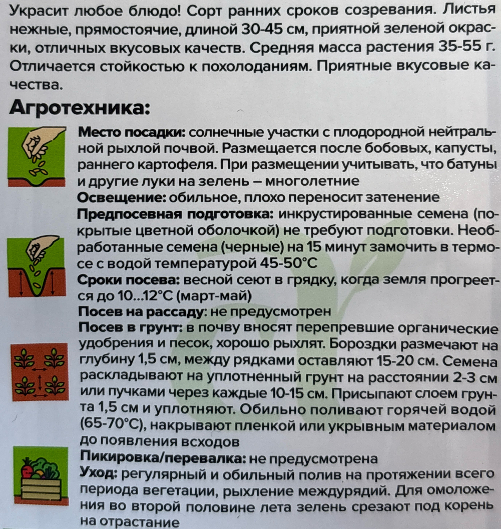 Лук  на зелень Перо Жар Птицы 0,5 г