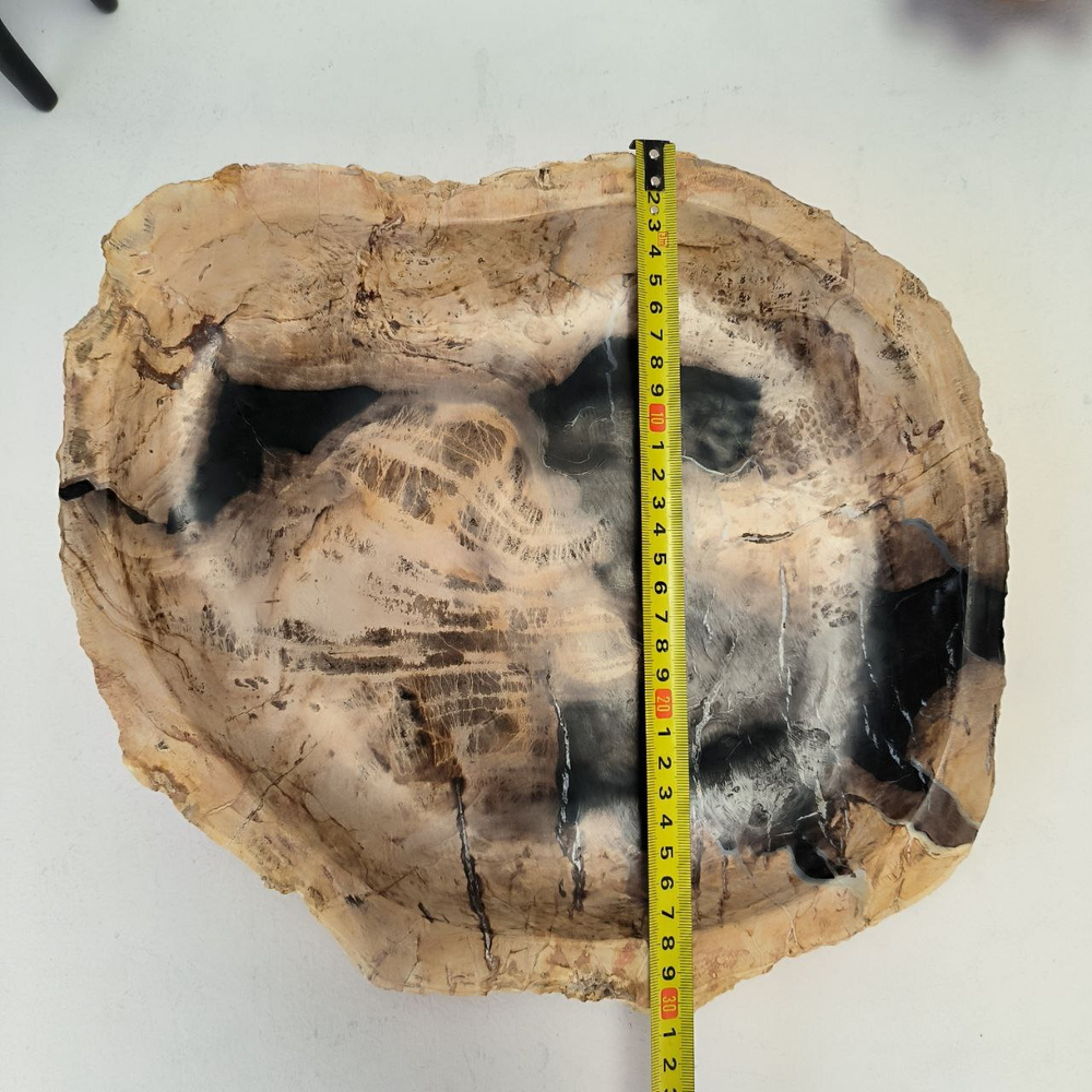 Набор из окаменелого дерева 4 предм Fossil Set NF-63072 поднос 30см*33см