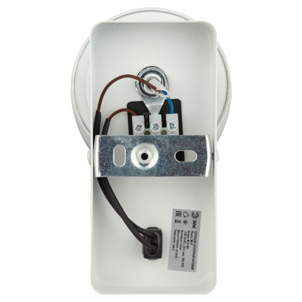 Светильник настенный ЭРА WL49 WH GX53 IP20 белый