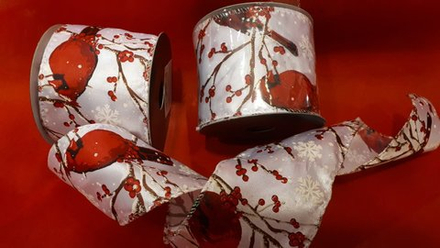 Лента R210 (5м в рул)