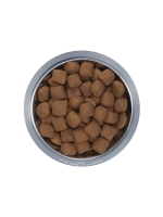ROYAL CANIN Giant Adult (Роял Канин Джайнт эдалт) корм сухой для собак 20 кг.