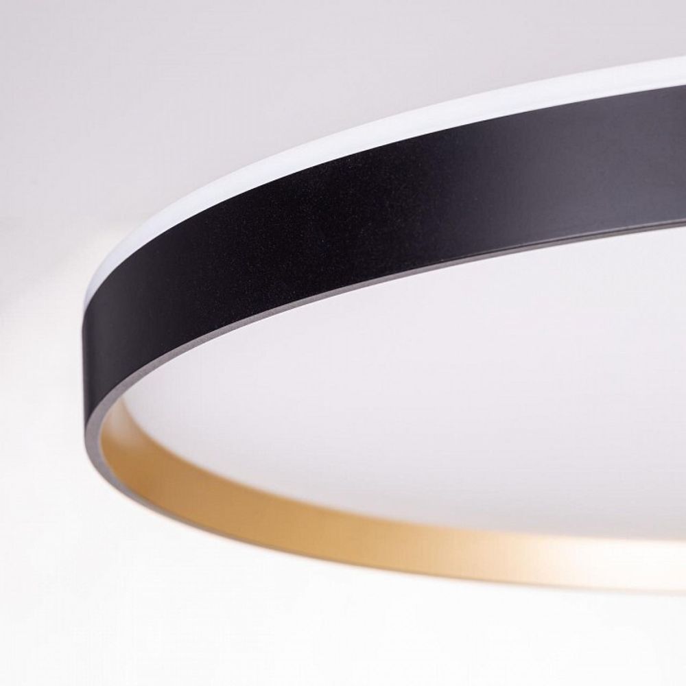 Накладной светильник Citilux ETALON CL750501R