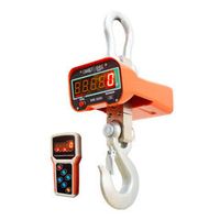 Крановые весы ВЭК-3000 ЛАЙТ c дублированием на ПДУ