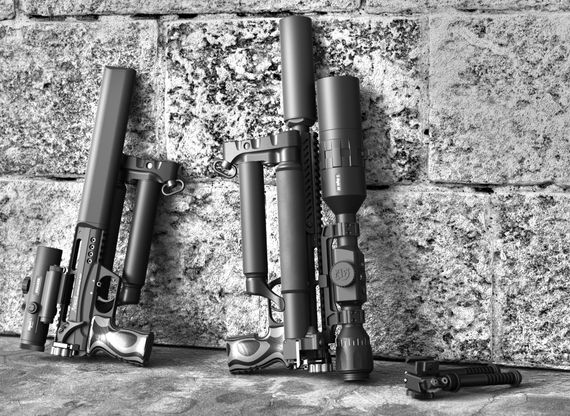 Пневматическая винтовка (до 3дж ) EDgun Леший 2.0 (5.5/6.35 мм, 250/350 мм)