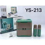 Портативная колонка YS-213 (караоке), 013330 Зеленый