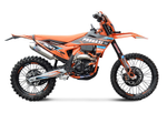 PROGASI ENDURANCE 300 EFI