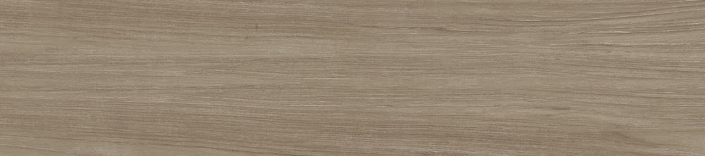 Mountain Marron GP2090MOU21R