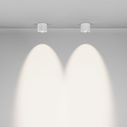 Накладной светильник Maytoni Lens C217CL-15W4K-W