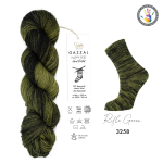 Пряжа Gazzal Happy Feet (3258)
