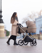 Коляска 2 в 1 Carrello Vector CRL-6550